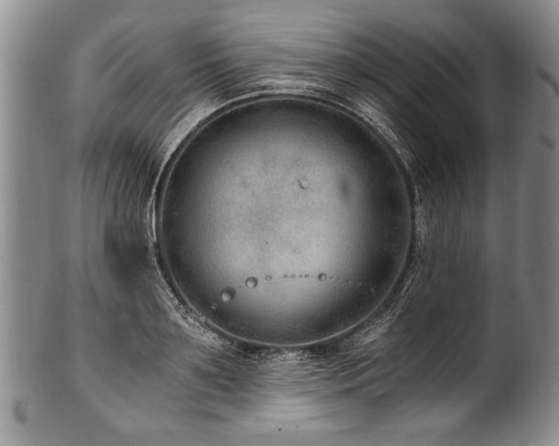X0000101110891200806261410