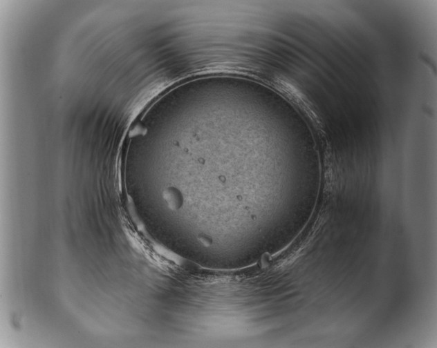X0000101110892200806261410