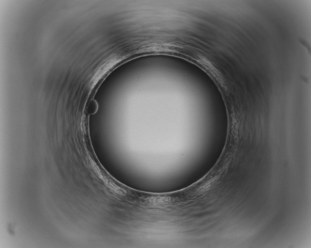 X0000101110893200806261410