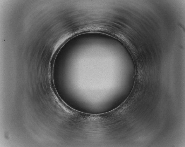 X0000101110894200806261410