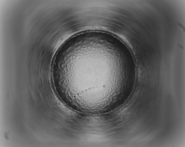X0000101110895200806261409