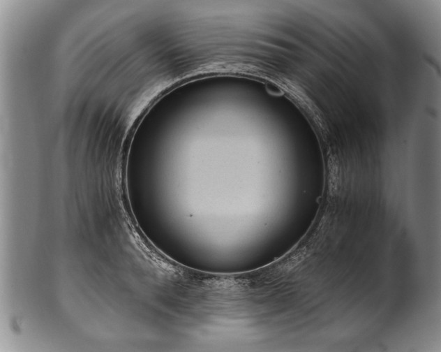 X0000101110896200806261409