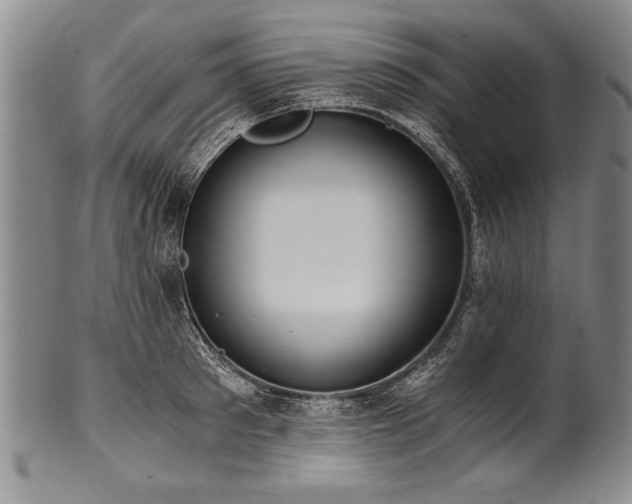 X0000101110897200806261409