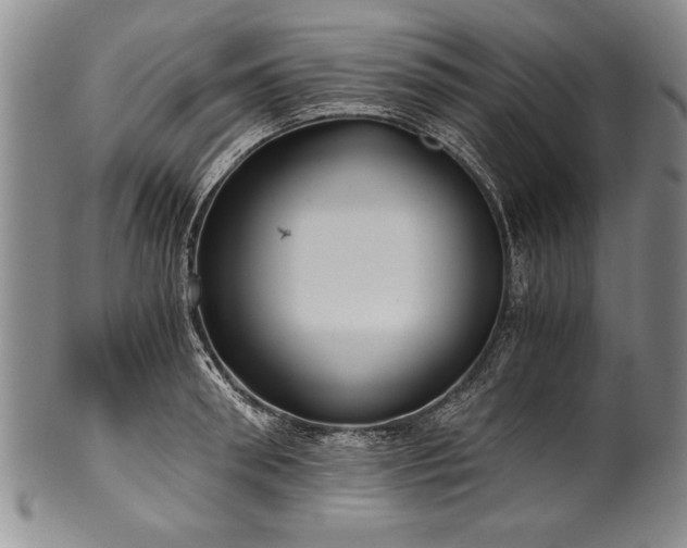 X0000101110898200806261409