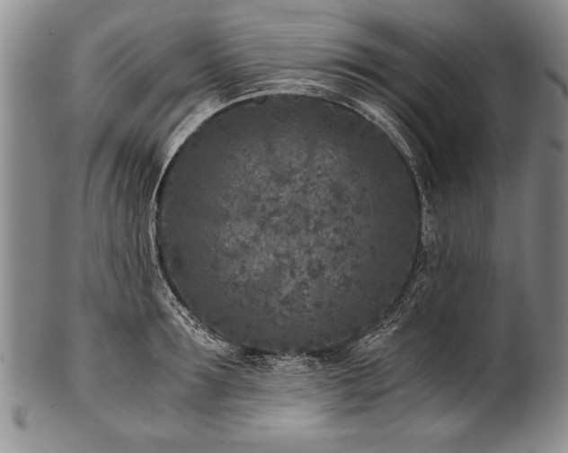 X0000101110899200806261409