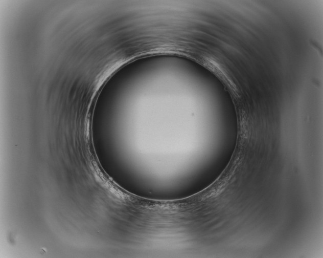 X0000101110900200806261409