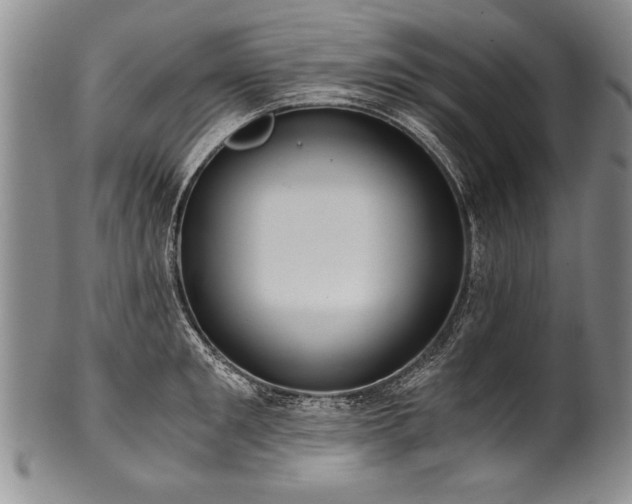 X0000101110901200806261409