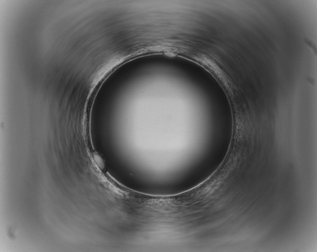 X0000101110902200806261409