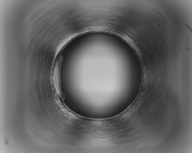 X0000101110904200806261409