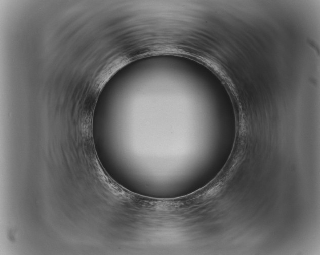 X0000101110905200806261409