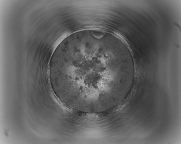 X0000101110907200806261409