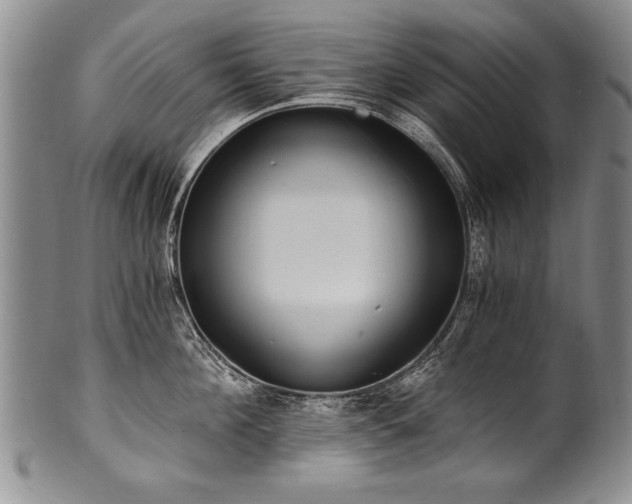 X0000101110908200806261409