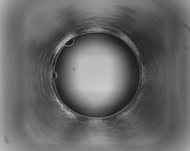 X0000101110909200806261409
