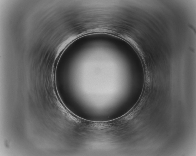 X0000101110910200806261409