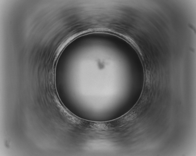 X0000101110911200806261409
