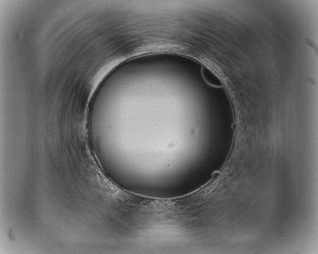 X0000101110912200806261409