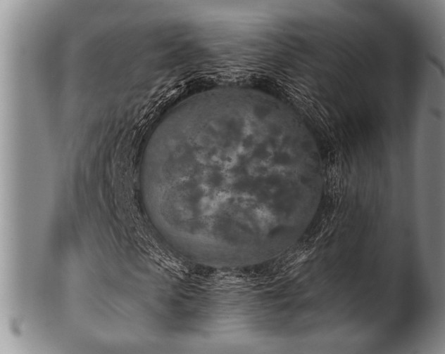 X0000101110913200806261409