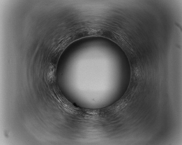 X0000101110914200806261409