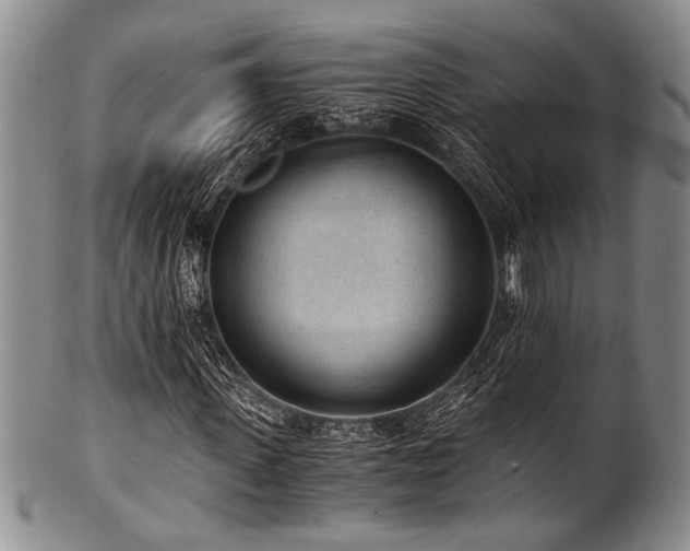 X0000101110915200806261409