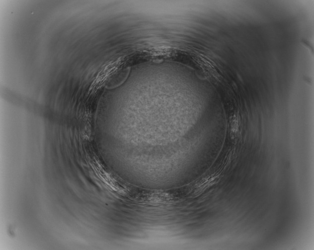 X0000101110916200806261409