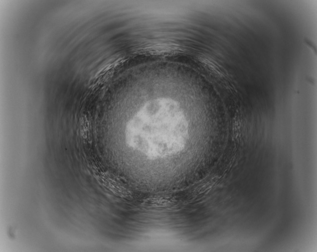 X0000101110917200806261409