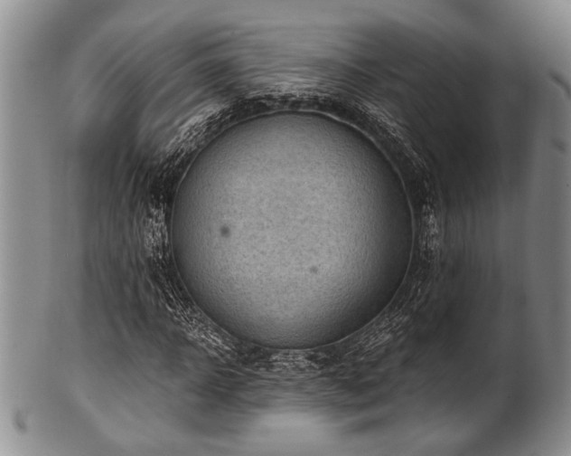 X0000101110918200806261409