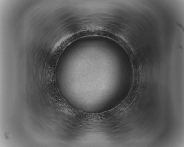 X0000101110919200806261409