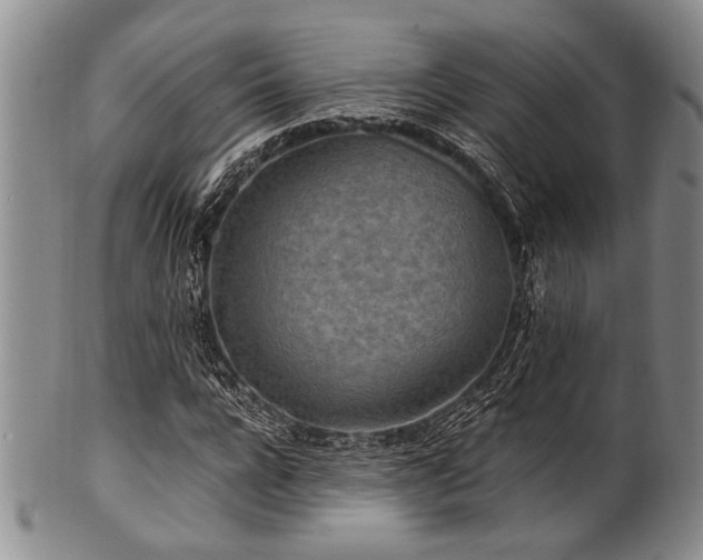 X0000101110920200806261409