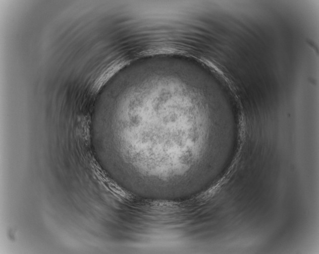 X0000101110921200806261409