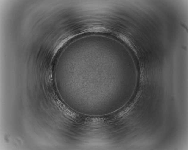 X0000101110923200806261409