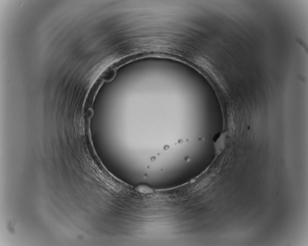 X0000101110924200806261409
