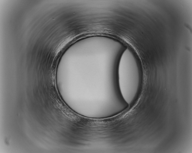 X0000101110925200806261409