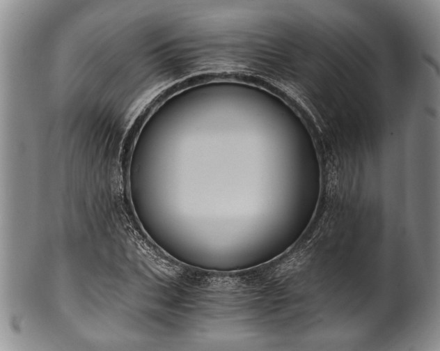 X0000101110927200806261409