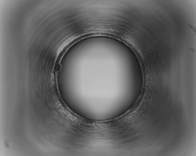 X0000101110928200806261409