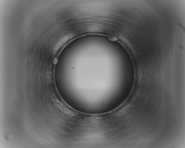 X0000101110930200806261409