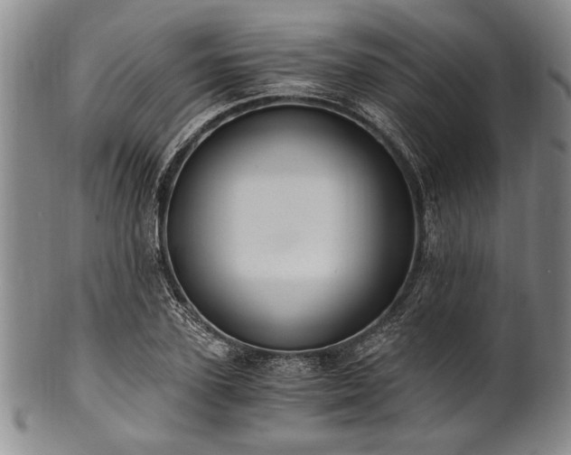 X0000101110931200806261409