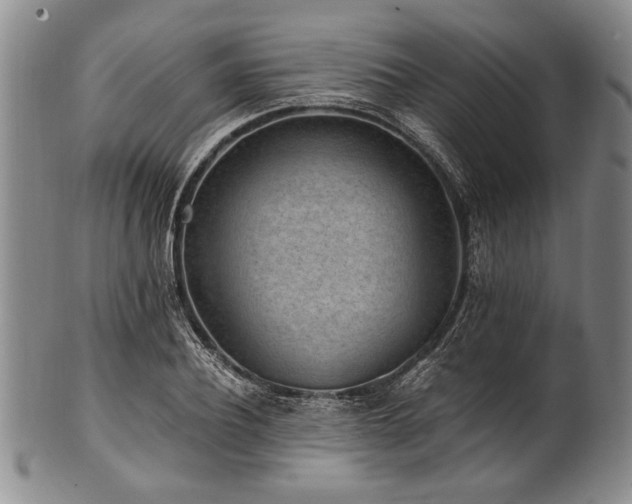 X0000101110932200806261409