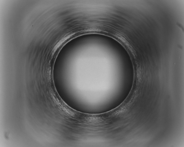 X0000101110933200806261409