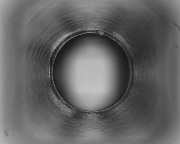 X0000101110934200806261409