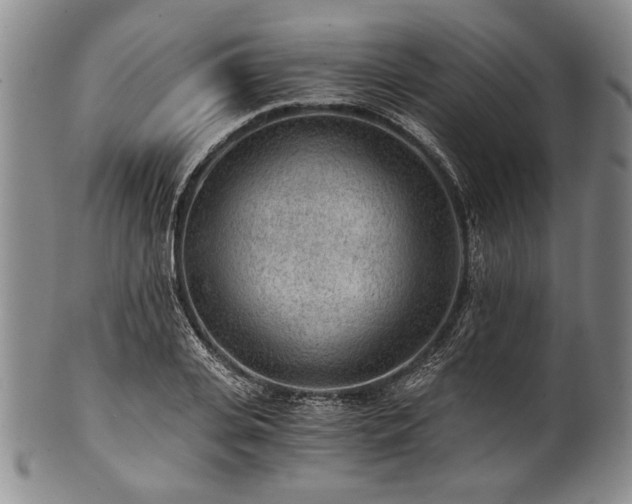 X0000101110935200806261409