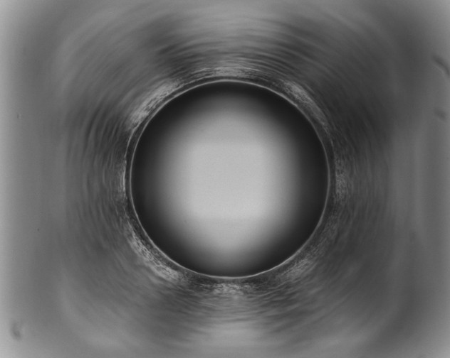 X0000101110938200806261409