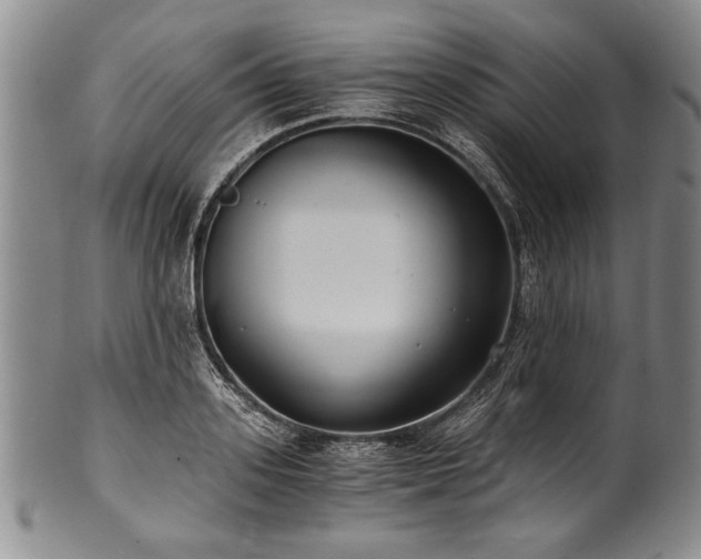 X0000101110939200806261409