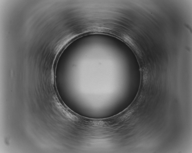 X0000101110940200806261409