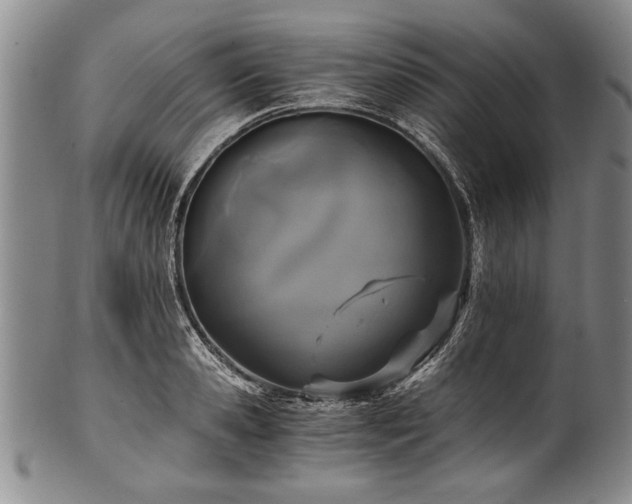 X0000101110941200806261409