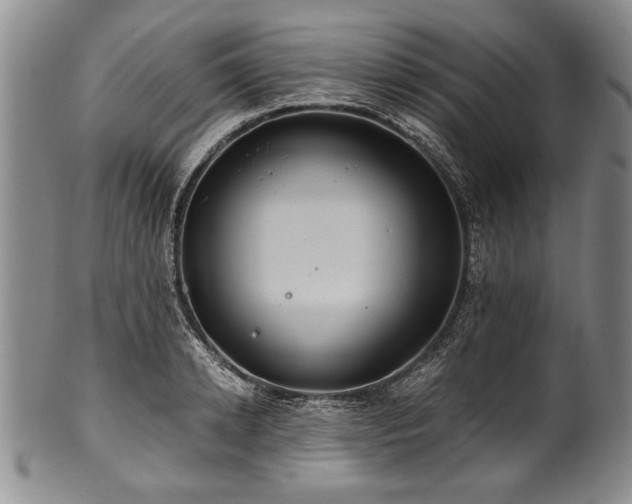 X0000101110942200806261409
