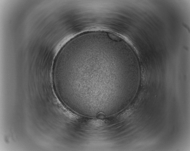 X0000101110943200806261409
