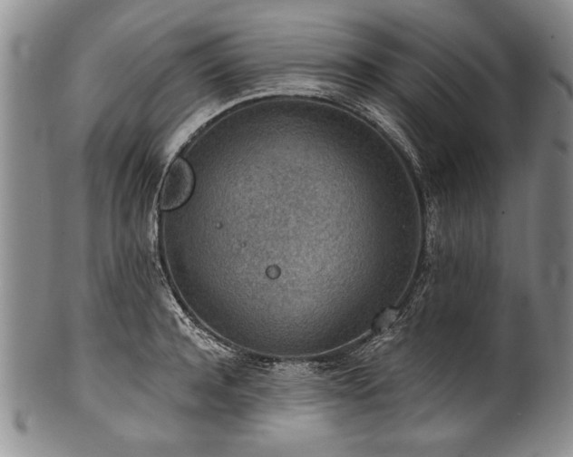 X0000101110944200806261409