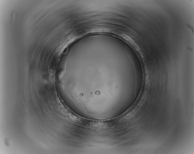 X0000101110945200806261409