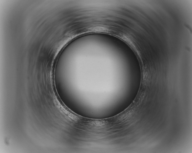 X0000101110947200806261409