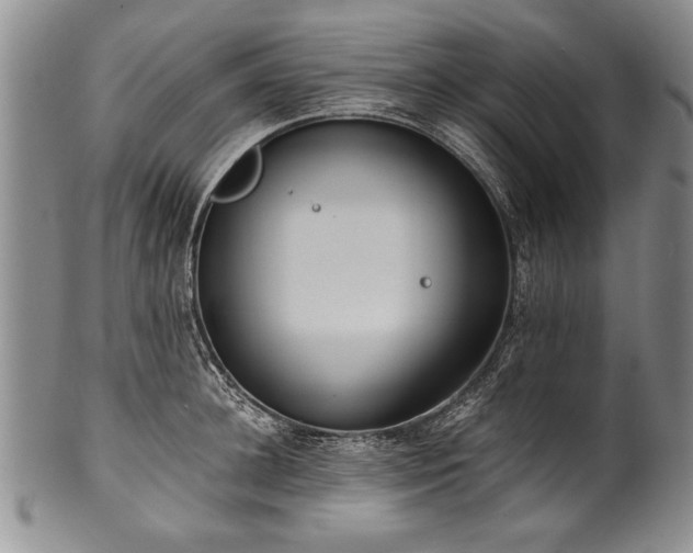 X0000101110948200806261409